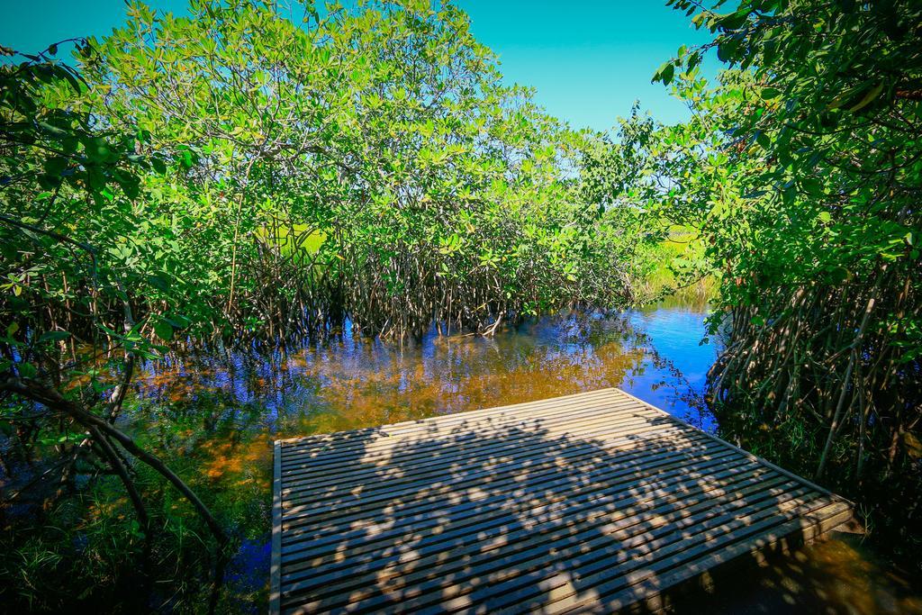 Pousada Ecologica Bangalo De Praia Itacimirim Zimmer foto